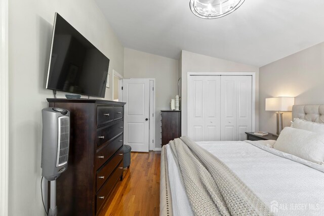27 York St, Old Bridge, NJ 08857 - bedroom featuring vaulted ceiling, dark wood finished floors, and a closet