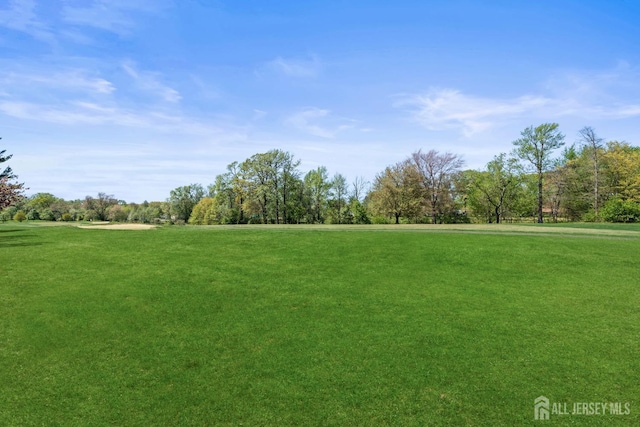 surrounding community featuring a yard