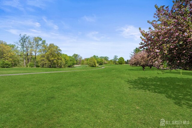 491-A Delair Rd, Monroe, NJ 08831 - photo 24