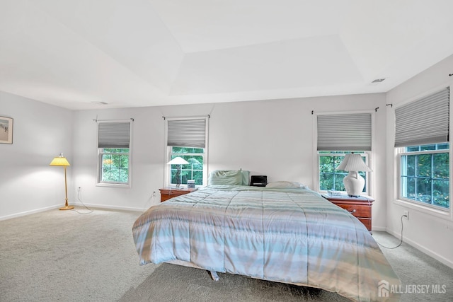 37 Walden Ct, Old Bridge, NJ 08857 - bedroom with carpet flooring, a tray ceiling, and baseboards