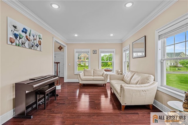 153 Scarborough Rd, Montgomery, NJ 08502 - living room with dark wood-style flooring, healthy amount of natural light, crown molding, baseboards, and recessed lighting