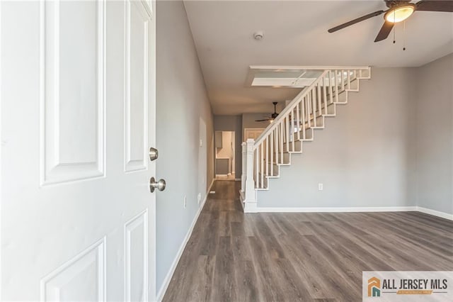 entryway featuring hardwood / wood-style flooring and ceiling fan