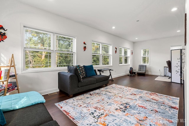 living room with dark hardwood / wood-style flooring