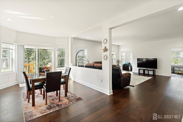 dining room with dark hardwood / wood-style floors