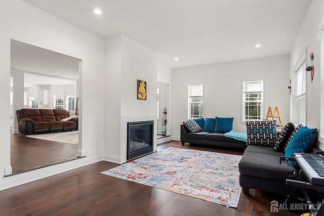 living room with dark hardwood / wood-style flooring