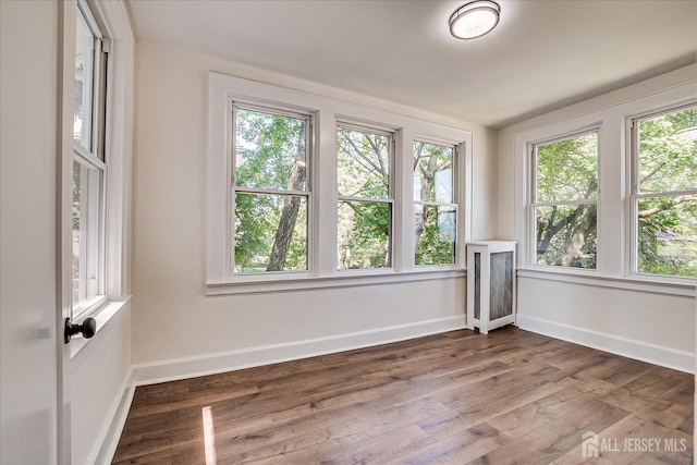 160 Academy St, South Orange Village, NJ 07079 - spare room with plenty of natural light and dark wood-type flooring