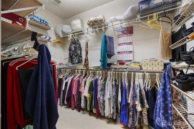 27 Dawson Ln, Monroe, NJ 08831 - spacious closet featuring carpet floors