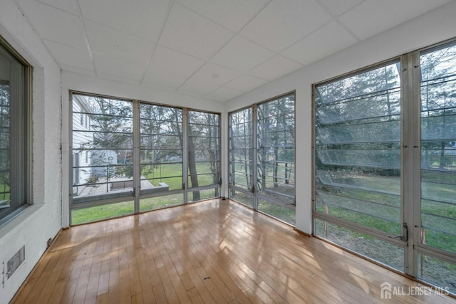 unfurnished sunroom with visible vents, a drop ceiling, and hardwood / wood-style floors