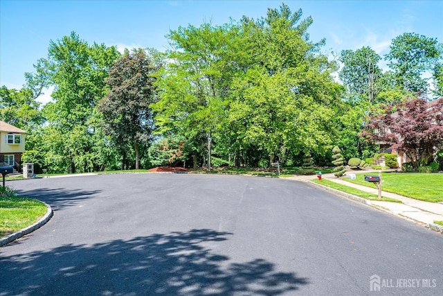16 Rachele Ct, Old Bridge, NJ 07747 - view of asphalt street featuring curbs, view of scattered trees, and sidewalks