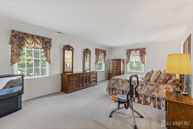 20 Samantha Dr, Monroe, NJ 08831 - photo 14