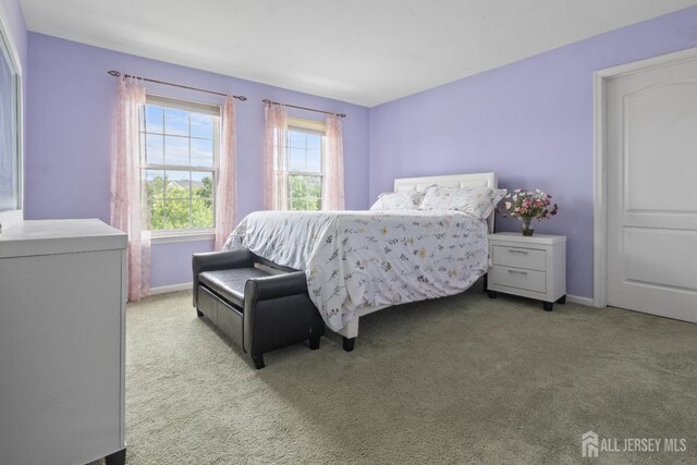 27 Music Mountain Blvd, Lambertville, NJ 08530 - photo 44