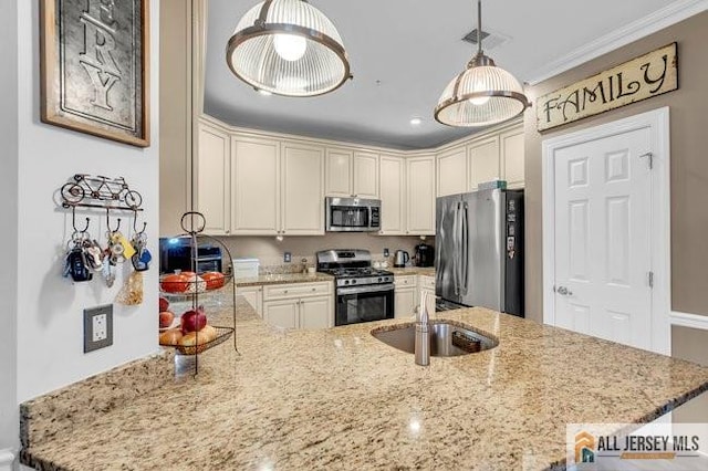 7203 Minuteman Ln, Franklin, NJ 08873 - kitchen featuring stainless steel appliances, a peninsula, light stone countertops, decorative light fixtures, and crown molding