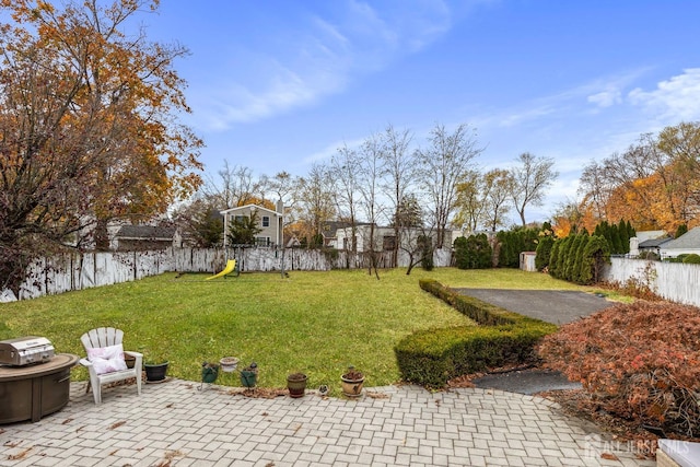 view of yard with a fenced backyard, a patio, and a playground