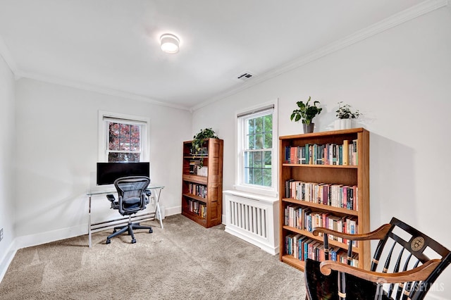 10 Shaw Dr, Franklin, NJ 08528 - office space featuring ornamental molding and carpet