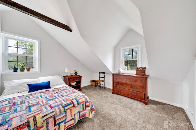 10 Shaw Dr, Franklin, NJ 08528 - carpeted bedroom featuring lofted ceiling and multiple windows