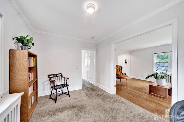 10 Shaw Dr, Franklin, NJ 08528 - living area with crown molding, wood finished floors, and carpet floors