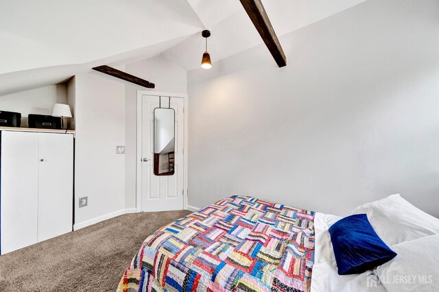 10 Shaw Dr, Franklin, NJ 08528 - carpeted bedroom with baseboards