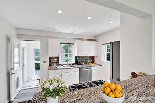 10 Shaw Dr, Franklin, NJ 08528 - kitchen featuring stainless steel appliances, healthy amount of natural light, white cabinetry, light stone countertops, and recessed lighting