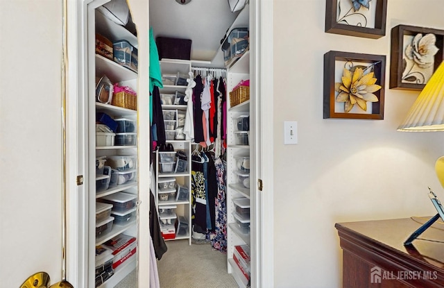 1406 Locust Ct, South Brunswick, NJ 08852 - view of closet
