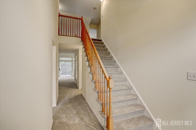 stairway with carpet flooring