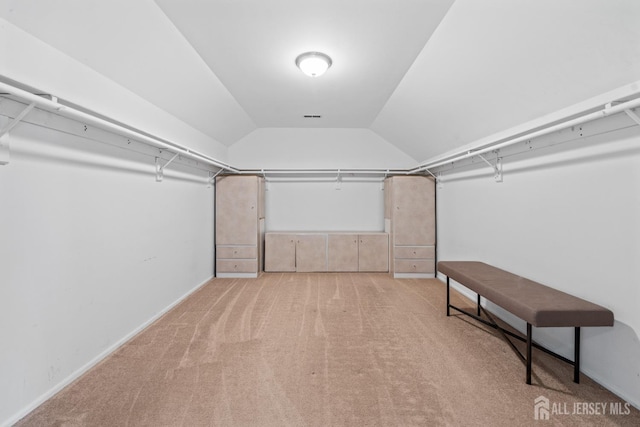96 Lark Dr, South River, NJ 08882 - walk in closet featuring carpet floors and lofted ceiling