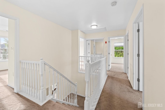 96 Lark Dr, South River, NJ 08882 - corridor featuring an upstairs landing and carpet flooring