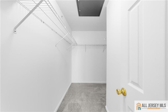 1177 Morning Glory Dr Unit 1177, Monroe, NJ 08831 - walk in closet with carpet floors