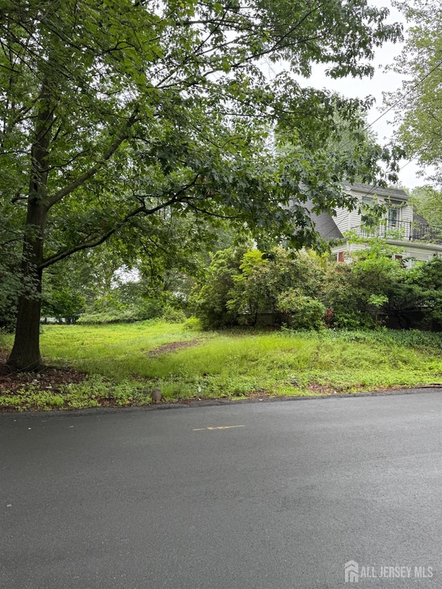 133 Harding Ave, Edison, NJ 08820 - view of yard