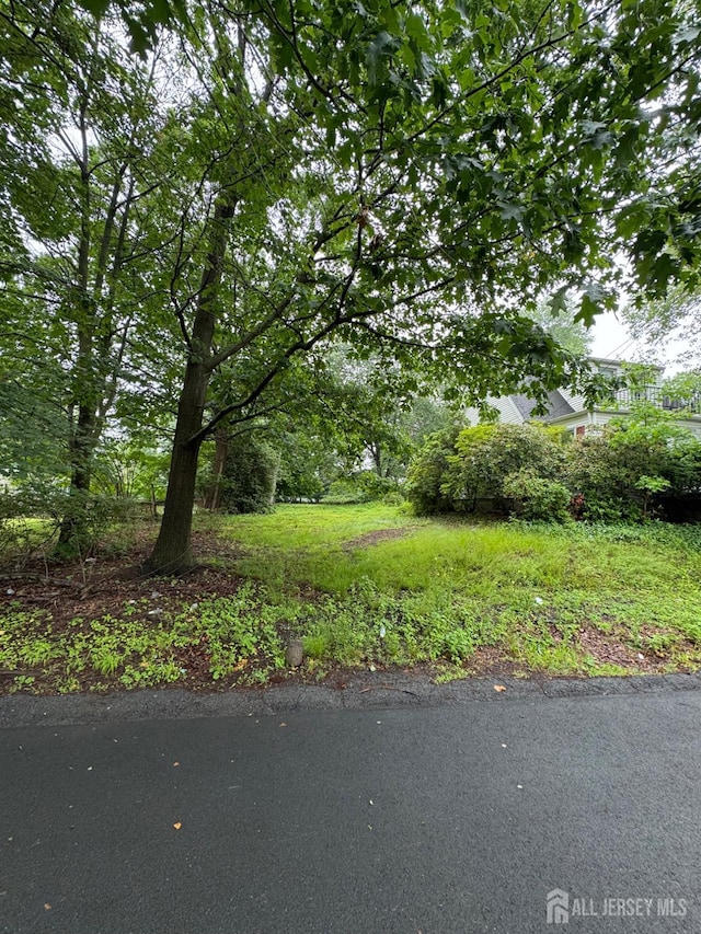 133 Harding Ave, Edison, NJ 08820 - view of yard
