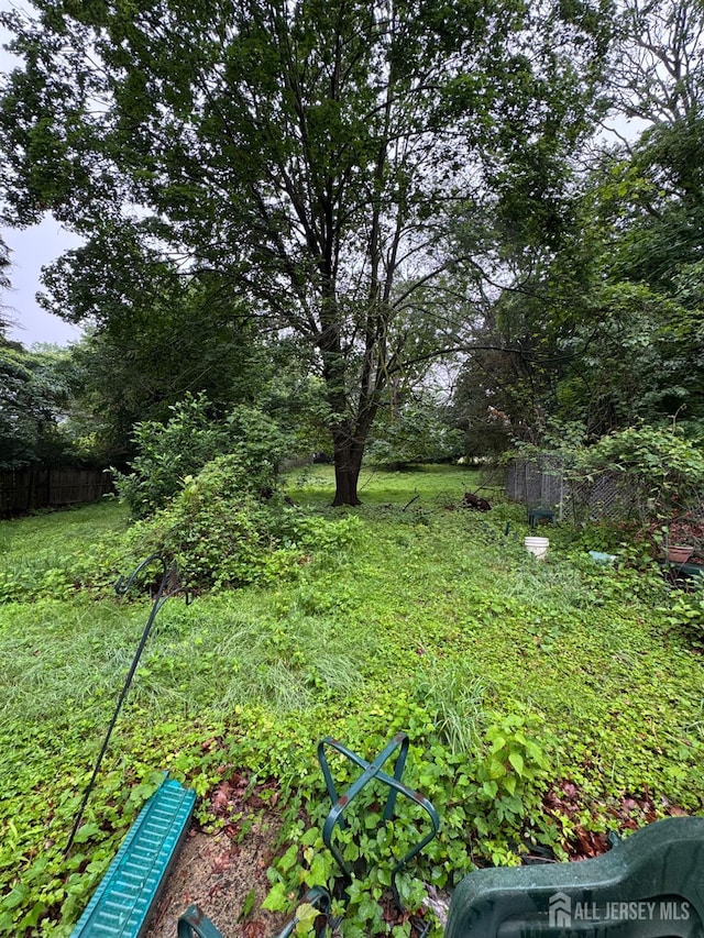 133 Harding Ave, Edison, NJ 08820 - view of yard