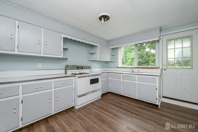 4 Ashwood Pl, North Brunswick, NJ 08902 - kitchen with double oven range, open shelves, dark wood finished floors, light countertops, and a sink