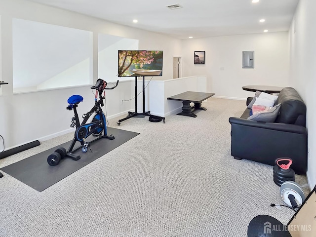 9 William Martin Way, Flemington, NJ 08822 - exercise area with recessed lighting, carpet floors, electric panel, and baseboards