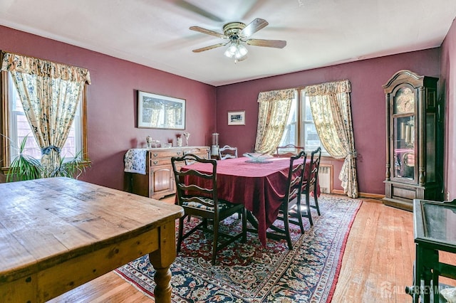 dining space with a ceiling fan, radiator, light wood-style floors, and baseboards