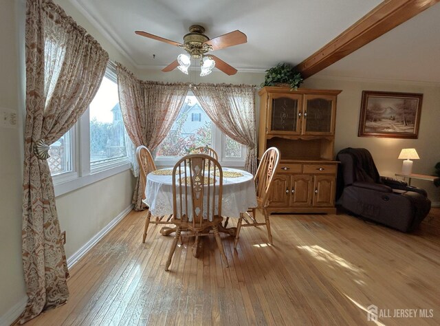 dining area featuring ceiling fan, ornamental molding, and light wood-type flooring