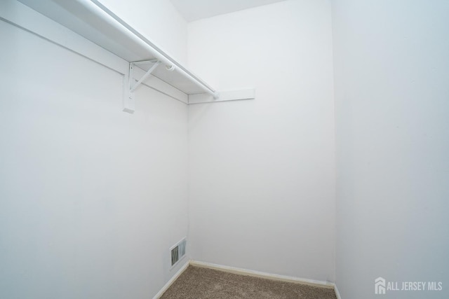 spacious closet featuring visible vents and carpet flooring