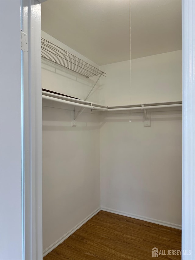 walk in closet featuring wood finished floors