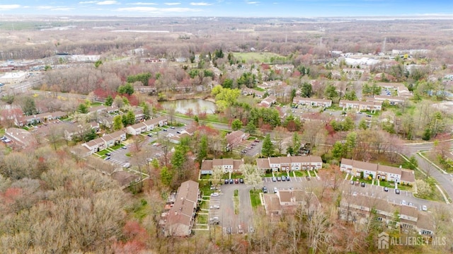 135 Archery Ct, Old Bridge, NJ 08857 - bird's eye view