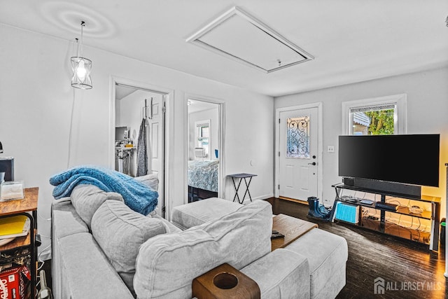 426 Catherine St, South Amboy, NJ 08879 - living room featuring attic access and wood finished floors
