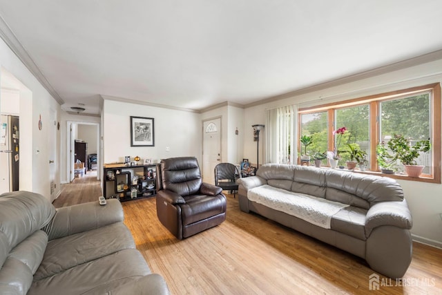 1206 Charter St, Piscataway, NJ 08854 - photo 7