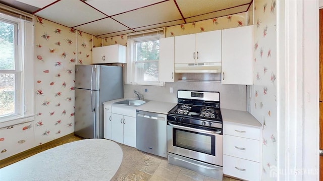 kitchen with sink, stainless steel appliances, a wealth of natural light, white cabinets, and a drop ceiling