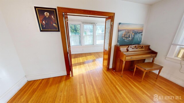 interior space with wood-type flooring