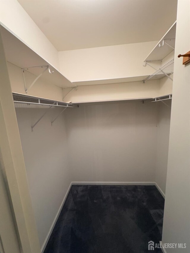 walk in closet featuring carpet