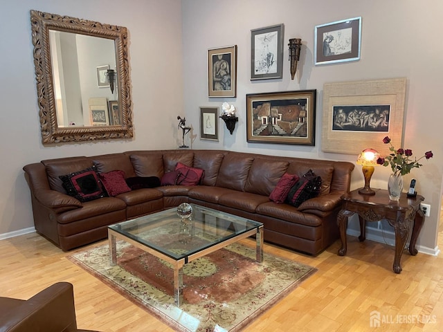 living room featuring hardwood / wood-style flooring