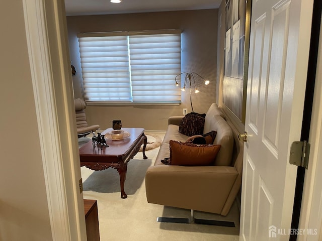 sitting room with carpet