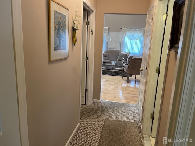 hall featuring light hardwood / wood-style flooring