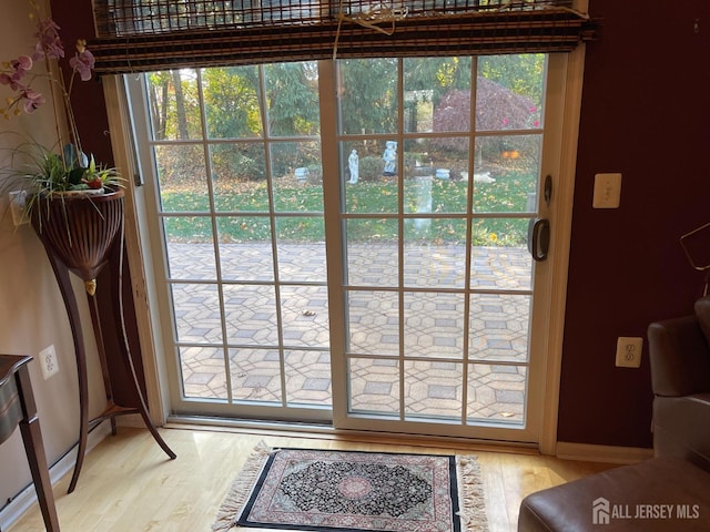 entryway featuring a wealth of natural light and hardwood / wood-style floors