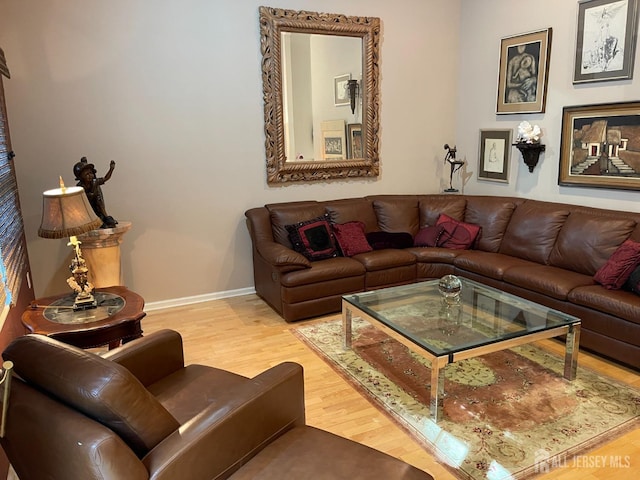 living room featuring wood-type flooring