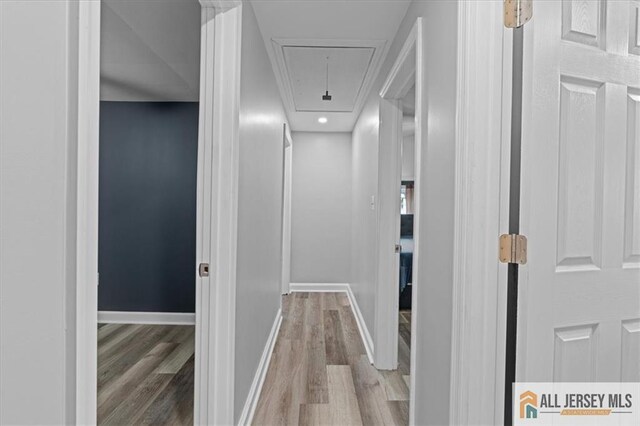 corridor featuring hardwood / wood-style floors