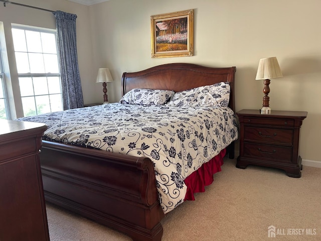 4207 Cedar Village Blvd, East Brunswick, NJ 08816 - bedroom with carpet floors and baseboards