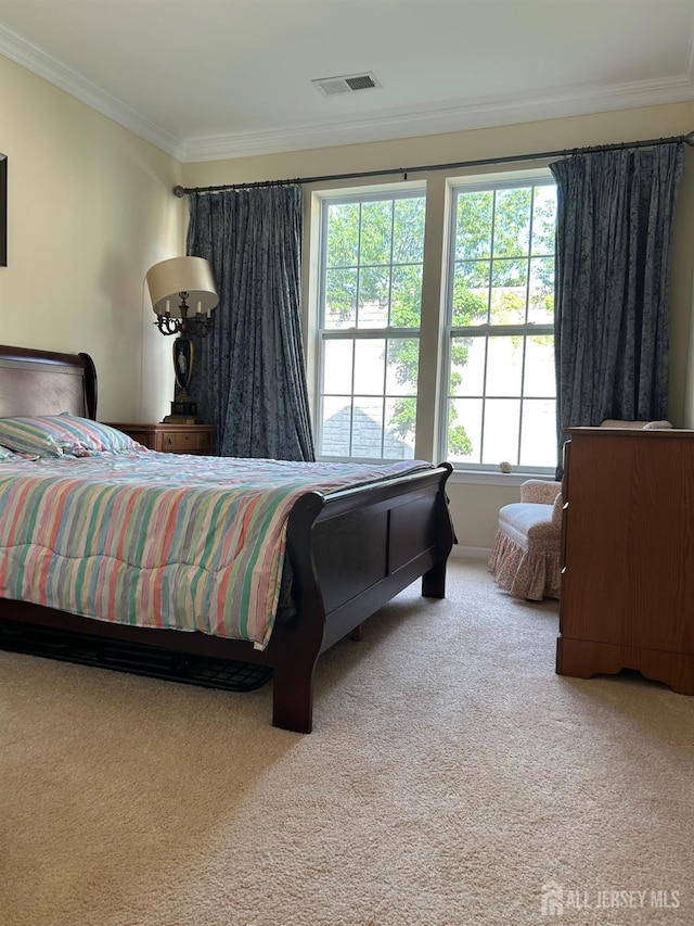 4207 Cedar Village Blvd, East Brunswick, NJ 08816 - carpeted bedroom featuring crown molding
